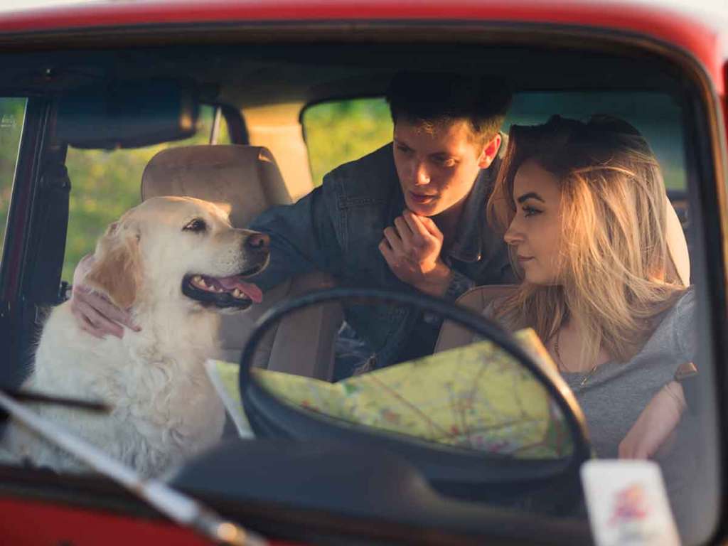 Golden retriever sitting in the passenger seat of a truck with a young female and male.