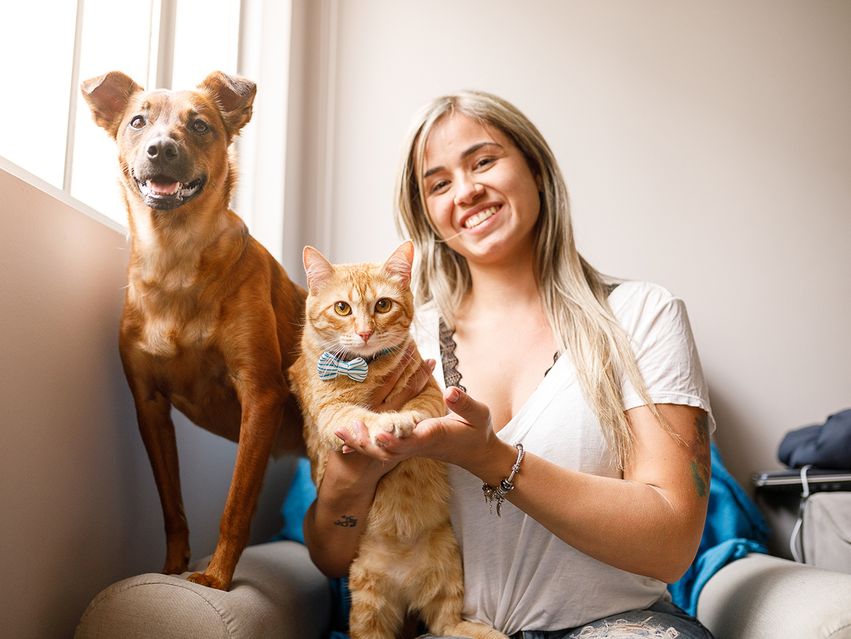 Догситтер. Домашние животные страхование. Looking after Pets. Look after Pets. After your pet
