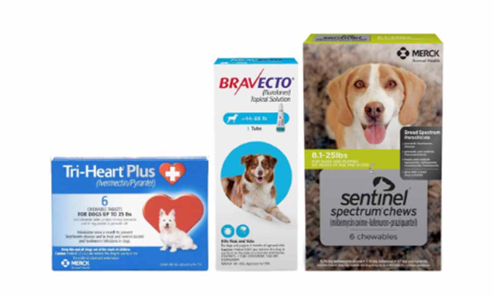 Packages of Tri-Heart Plus, Bravecto, and Sentinel Spectrum Chews