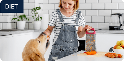 Young girl in overalls feeding carrots to a golden retriever