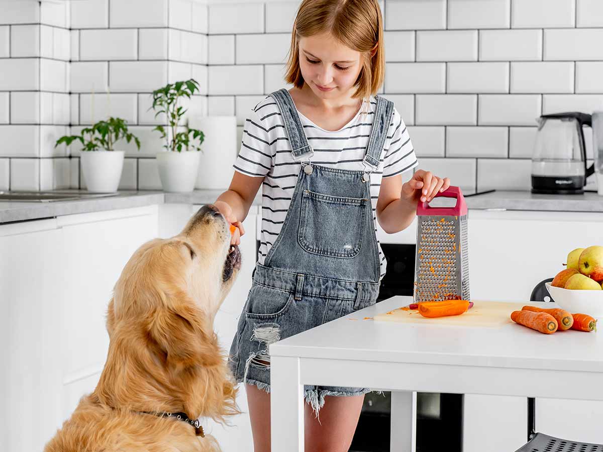Young girl in overalls feeding carrots to a golden retriever